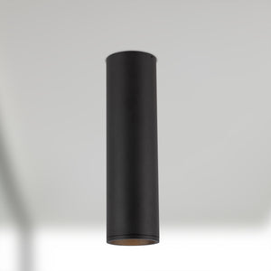 Lorna Concrete Ceiling Mount