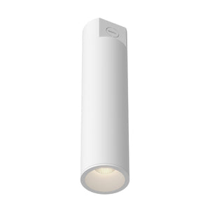 Lorna Concrete Ceiling Mount