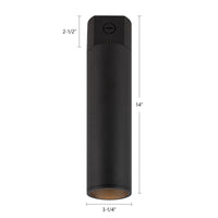 Lorna Concrete Ceiling Mount