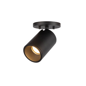 Lorna Adjustable Ceiling Mount
