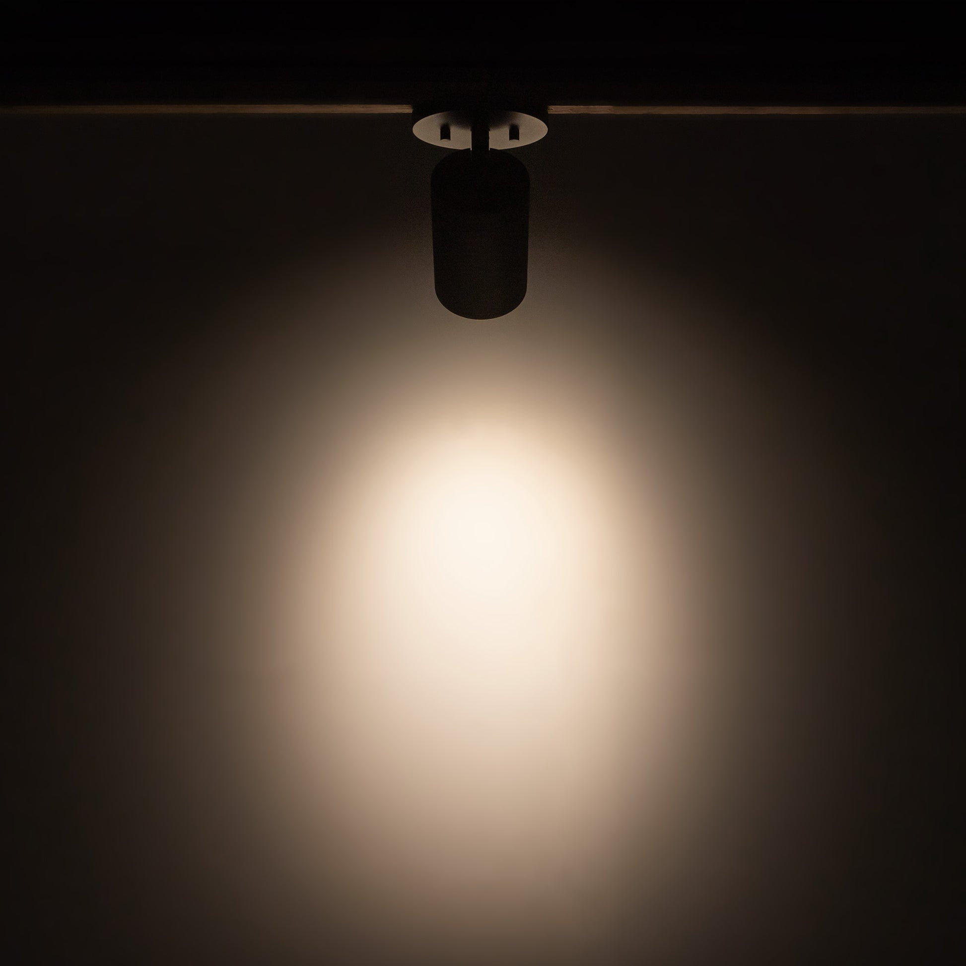 Lorna Adjustable Ceiling Mount