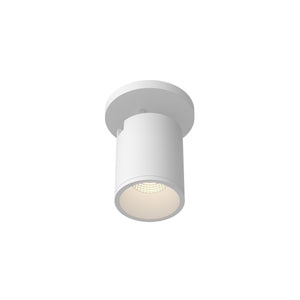 Lorna Adjustable Ceiling Mount