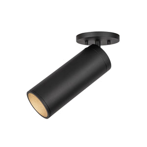 Lorna Adjustable Ceiling Mount