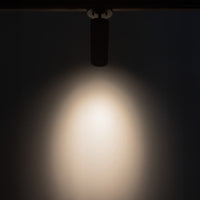 Lorna Adjustable Ceiling Mount