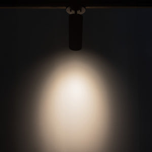 Lorna Adjustable Ceiling Mount