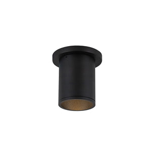 Lorna Ceiling Mount