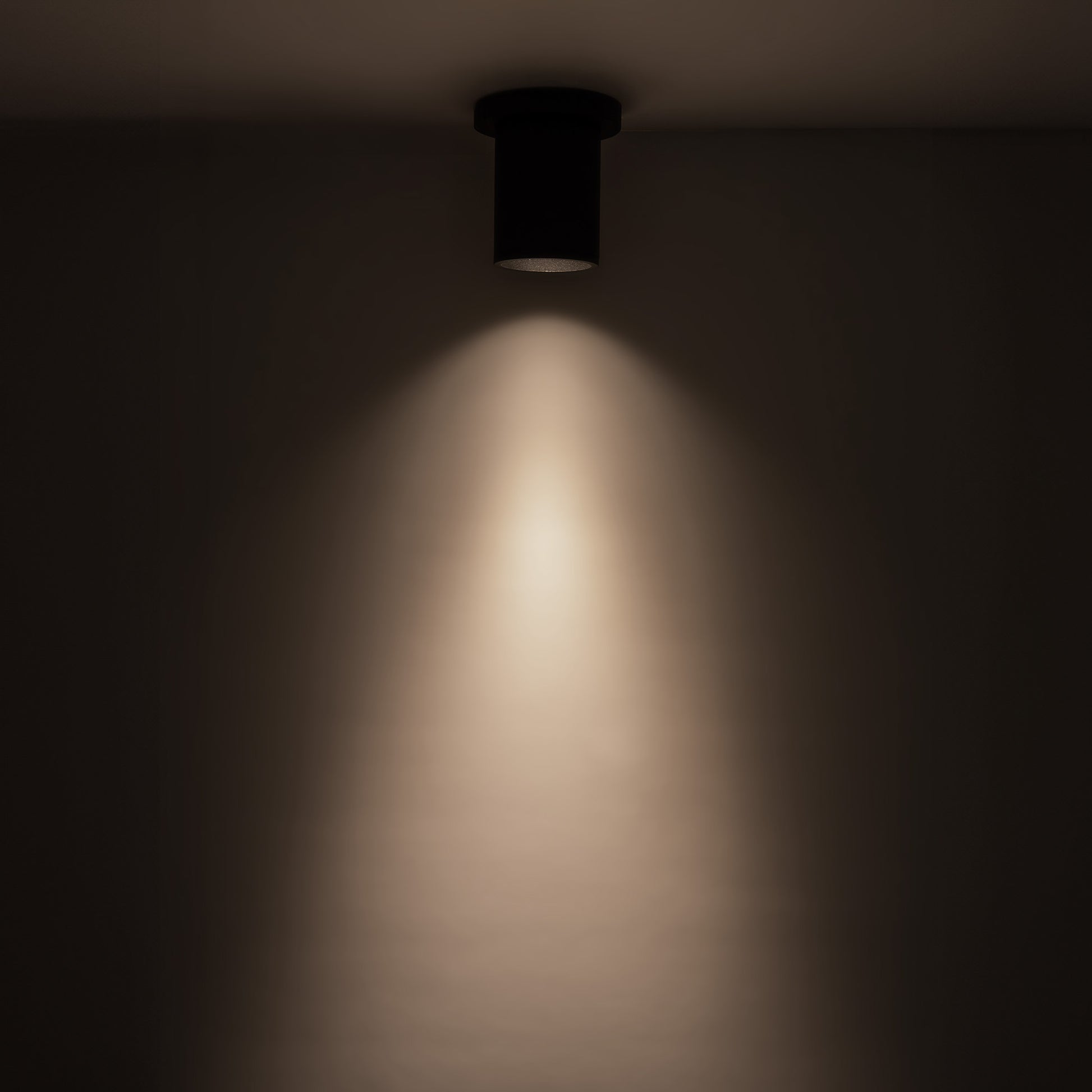 Lorna Ceiling Mount