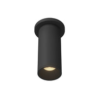 Lorna Ceiling Mount