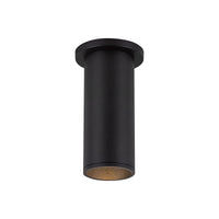 Lorna Ceiling Mount