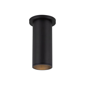 Lorna Ceiling Mount