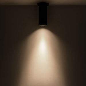 Lorna Ceiling Mount
