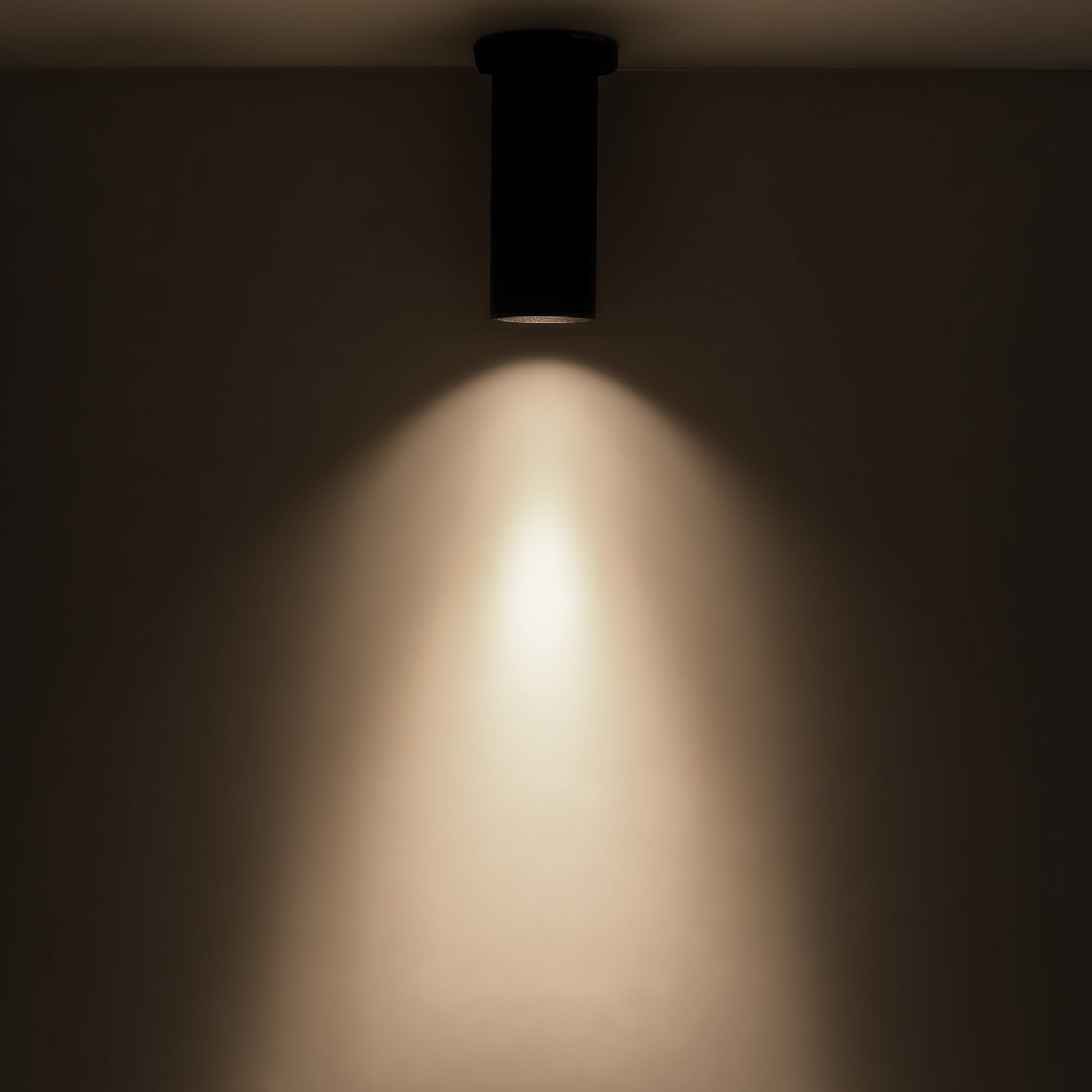 Lorna Ceiling Mount