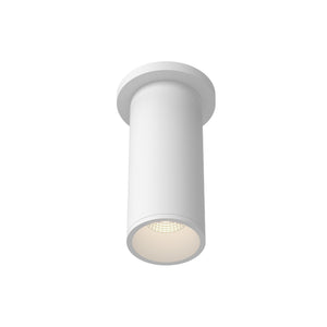 Lorna Ceiling Mount