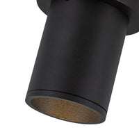 Lorna Ceiling Mount