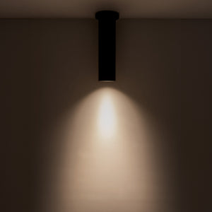 Lorna Ceiling Mount