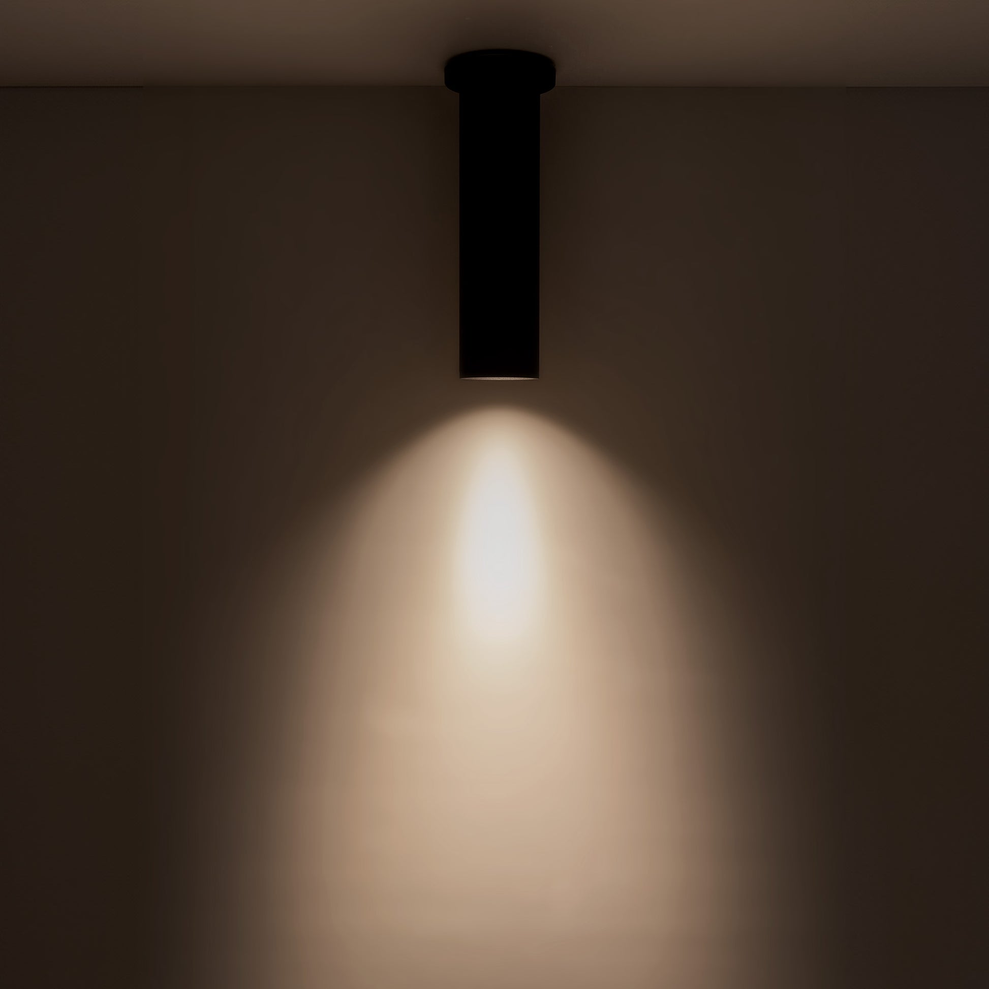 Lorna Ceiling Mount