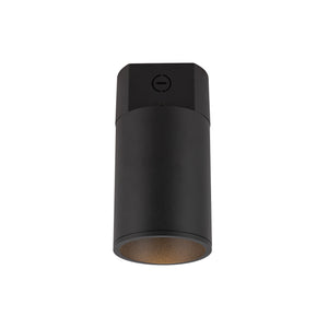 Lorna Concrete Ceiling Mount