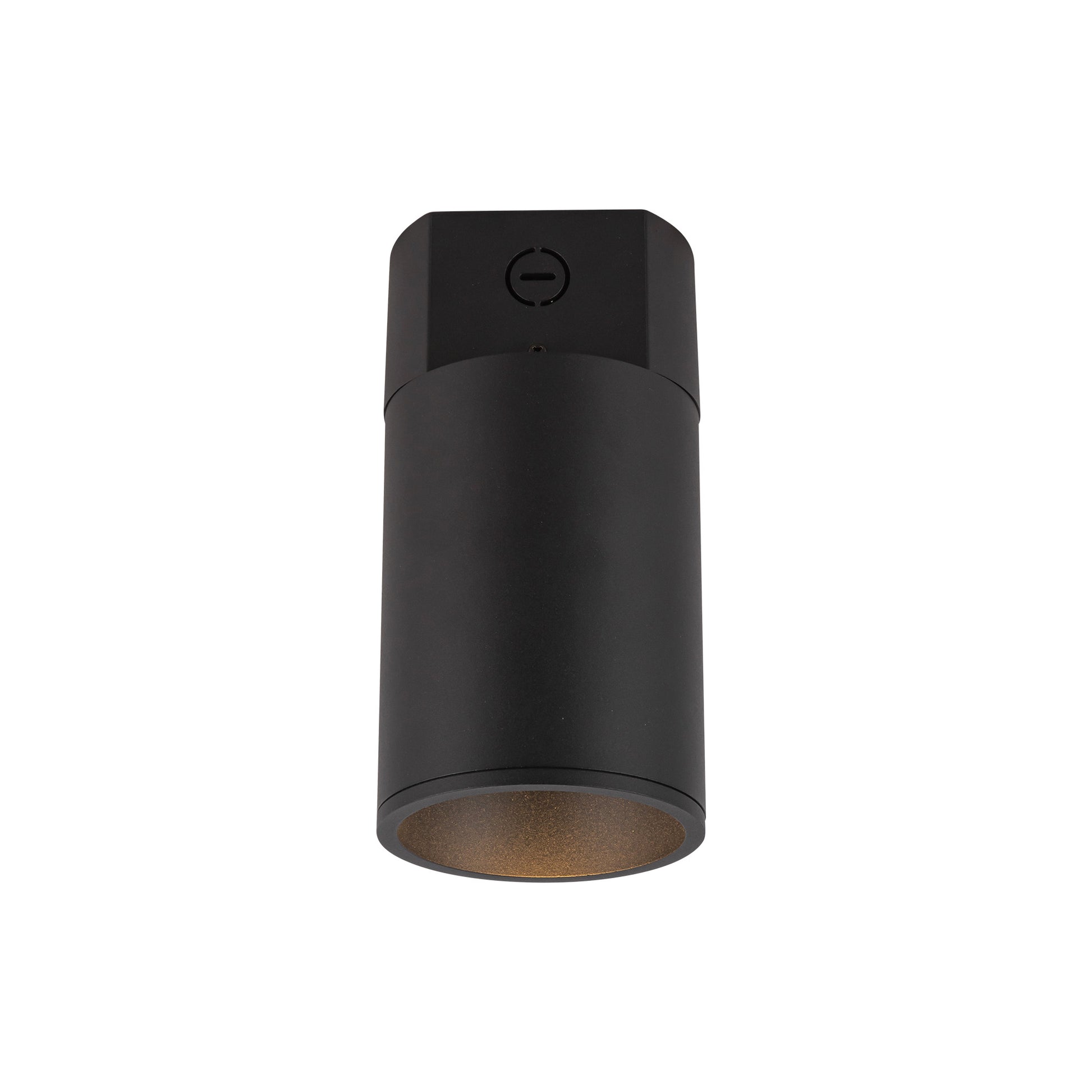 Lorna Concrete Ceiling Mount