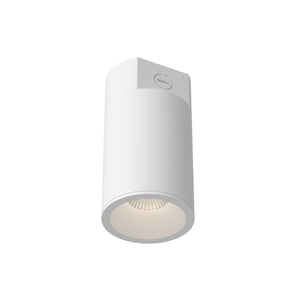 Lorna Concrete Ceiling Mount