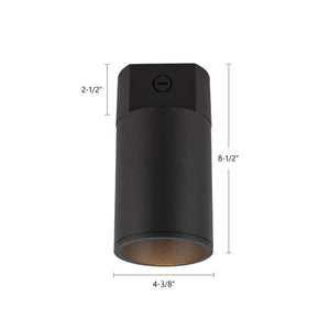 Lorna Concrete Ceiling Mount