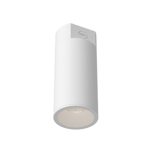 Lorna Concrete Ceiling Mount