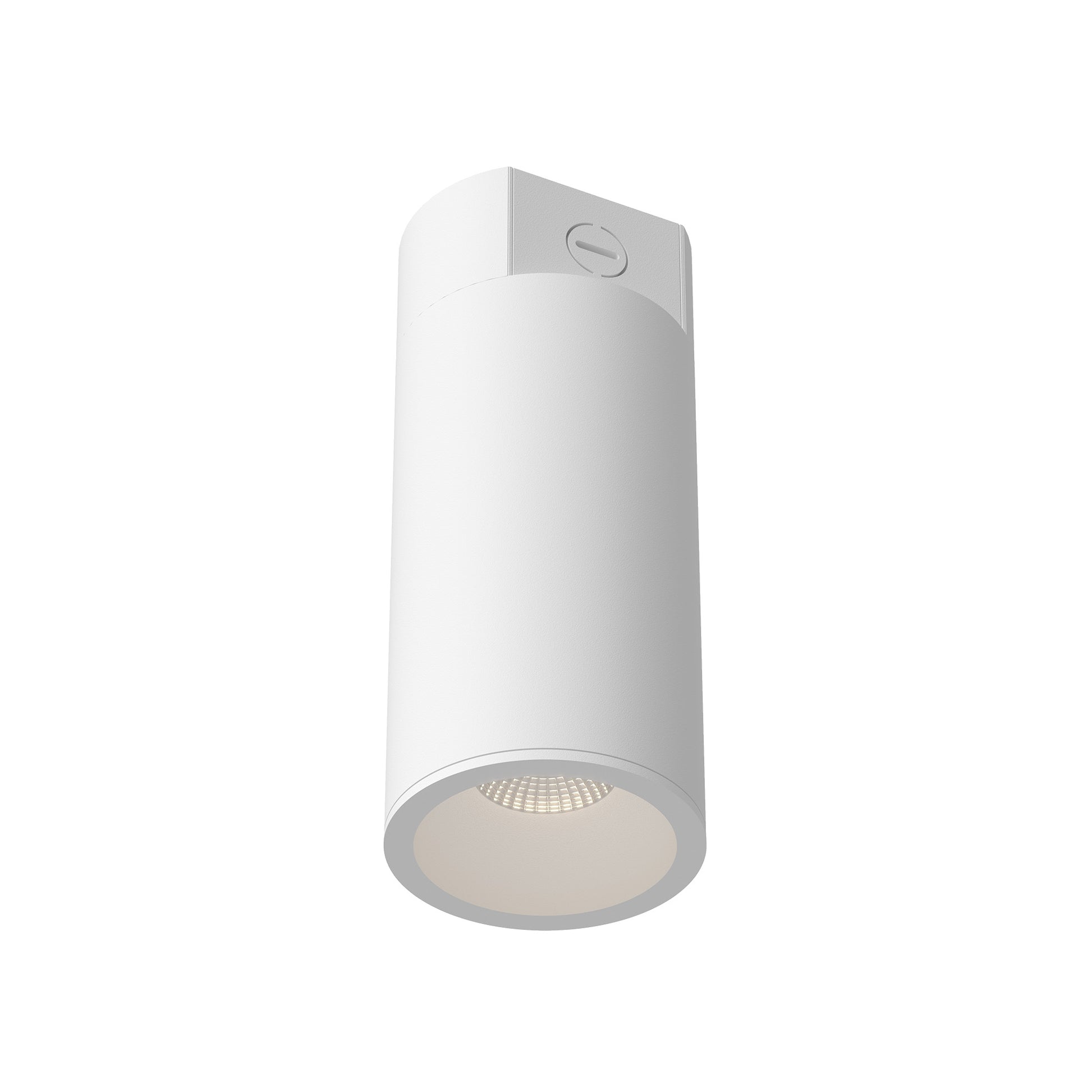 Lorna Concrete Ceiling Mount