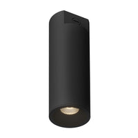 Lorna Concrete Ceiling Mount