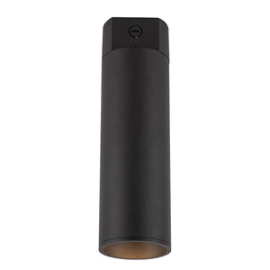 Lorna Concrete Ceiling Mount