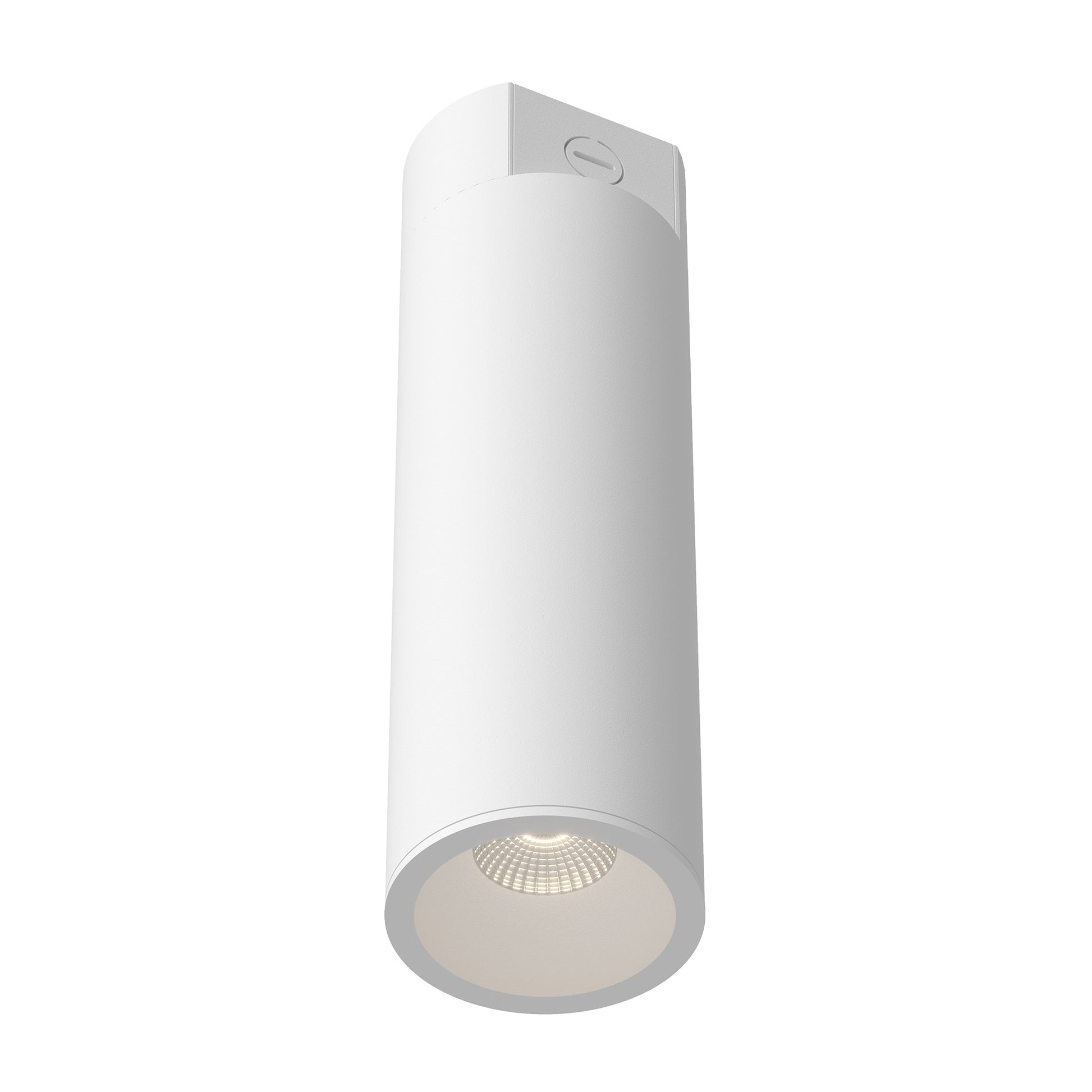 Lorna Concrete Ceiling Mount