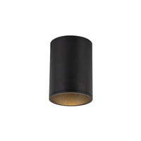 Lorna Flush Mount