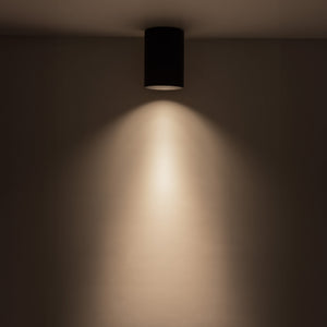 Lorna Flush Mount