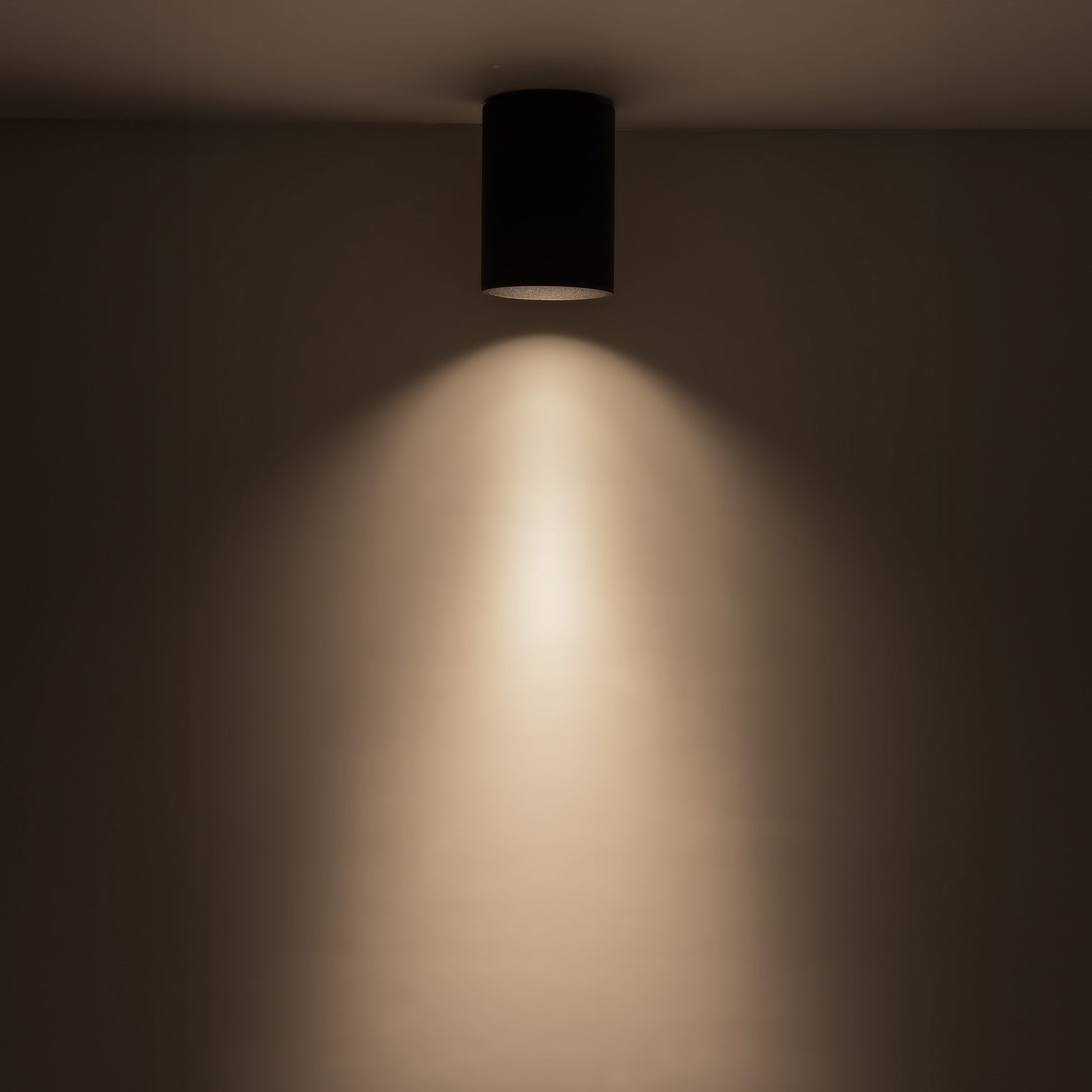 Lorna Flush Mount