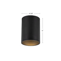 Lorna Flush Mount