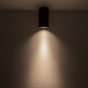 Lorna Flush Mount