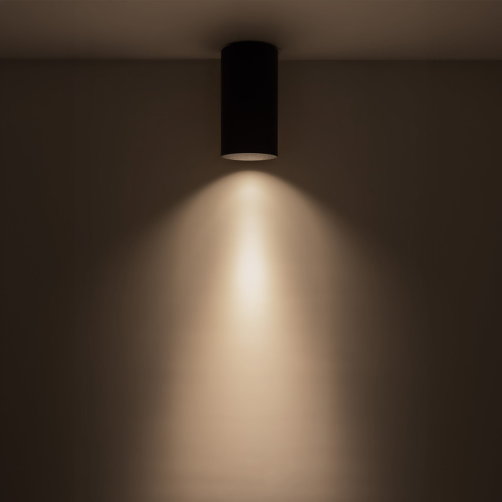 Lorna Flush Mount