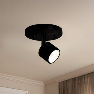 Lyra Track Light