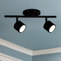 Lyra Track Light