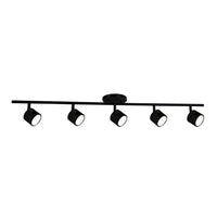 Lyra Track Light