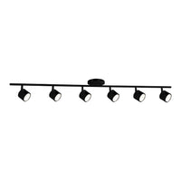 Lyra Track Light
