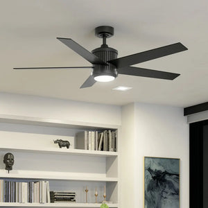 56 Inch Brahm Fan