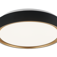 Alamus Ceiling Mount