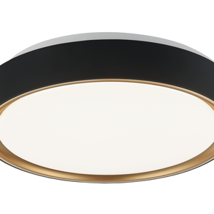 Alamus Ceiling Mount