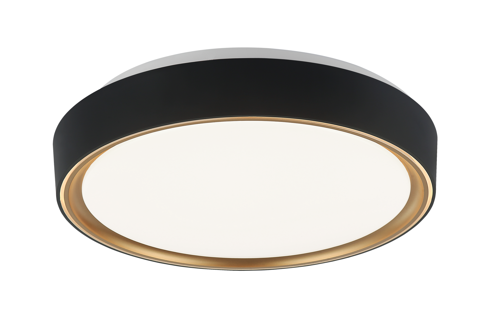 Alamus Ceiling Mount