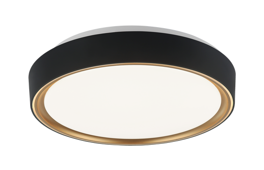 Alamus Ceiling Mount