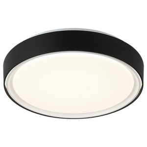 Alamus Ceiling Mount
