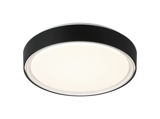 Alamus Ceiling Mount