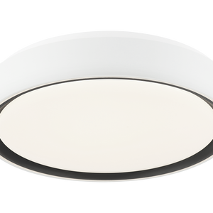 Alamus Ceiling Mount