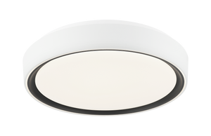 Alamus Ceiling Mount