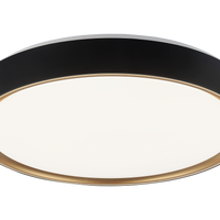 Alamus Ceiling Mount