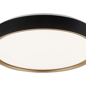 Alamus Ceiling Mount